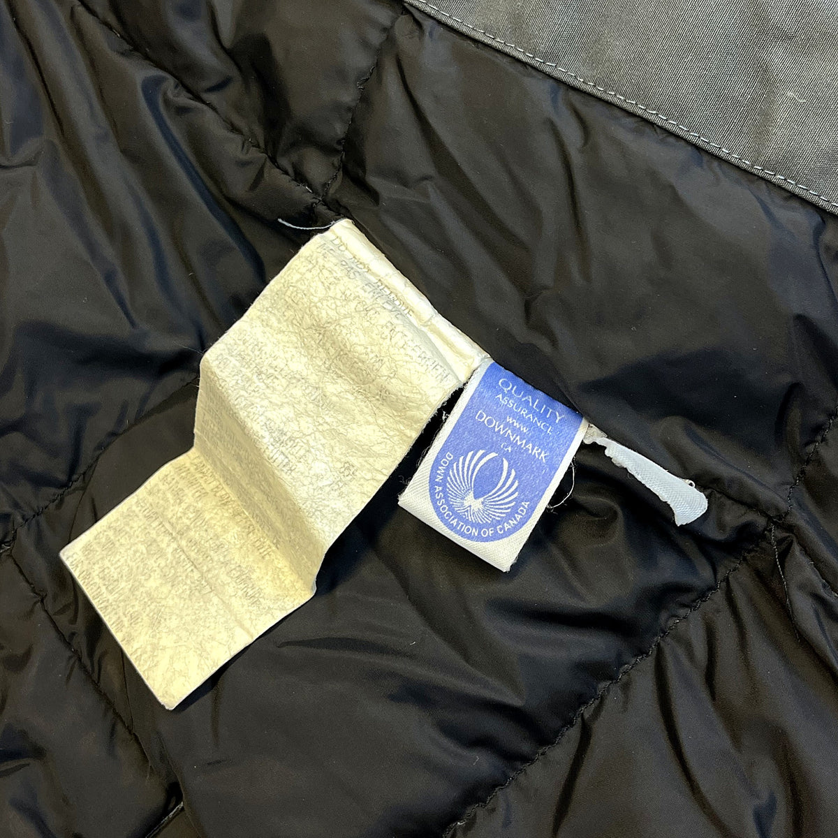 Canada Goose Blue jacket